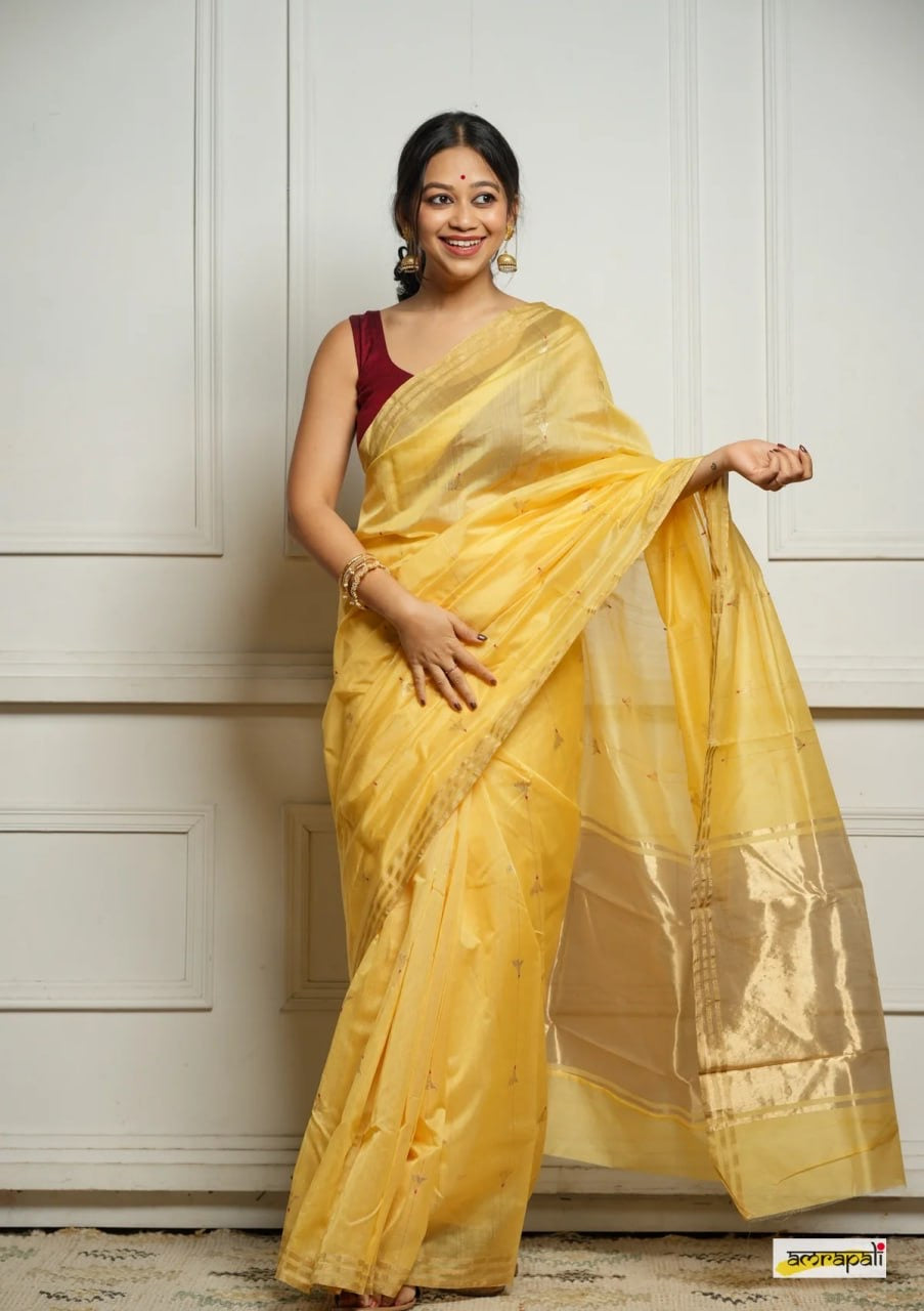 "Elegant Silk Saree with Zari Border and Minimal Embroidery