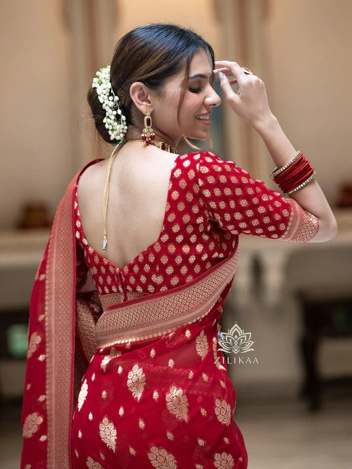 Zilikaa Banarasi Silk Saree Collection