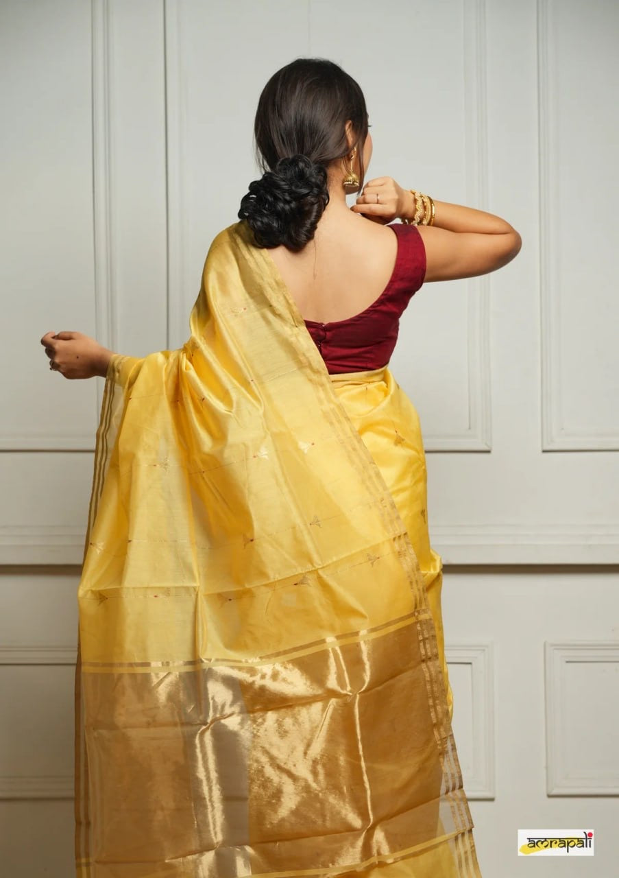 "Elegant Silk Saree with Zari Border and Minimal Embroidery