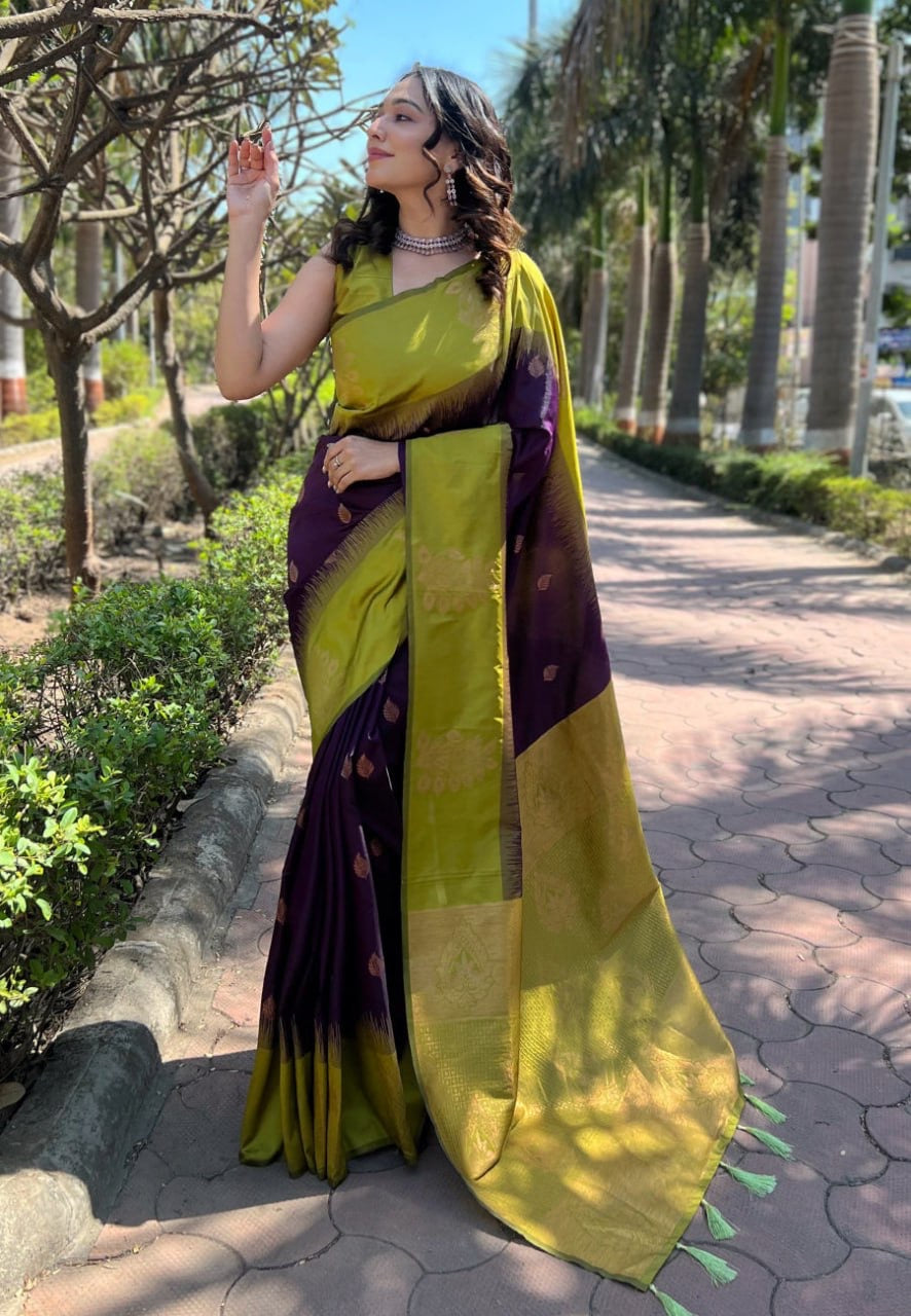 Banarasi Soft Silk Saree with Rich Zari Weaving – Perfect for Weddings & Festive Wear