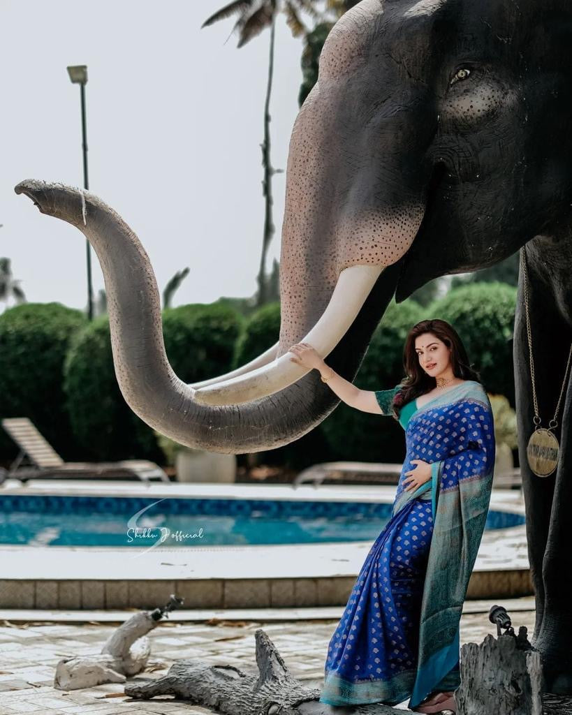 Royal Blue Banarasi Silk Saree with Peacock Green Border and Gold Zari Buttas