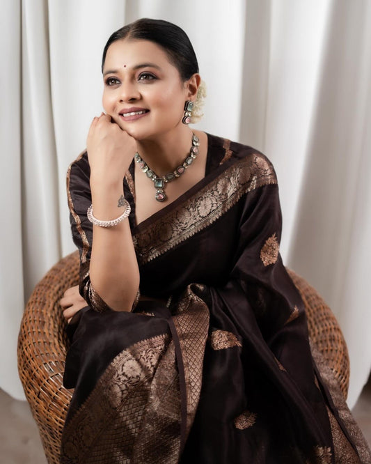 Royal Black Banarasi Silk Saree with Gold Zari Work
