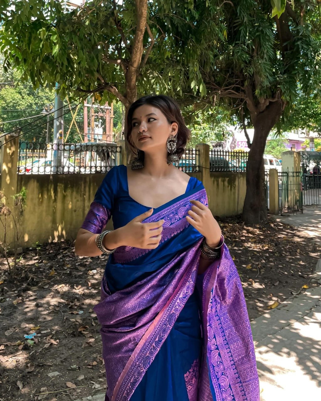 Royal Blue and Purple Banarasi Silk Saree with Intricate Zari Border.